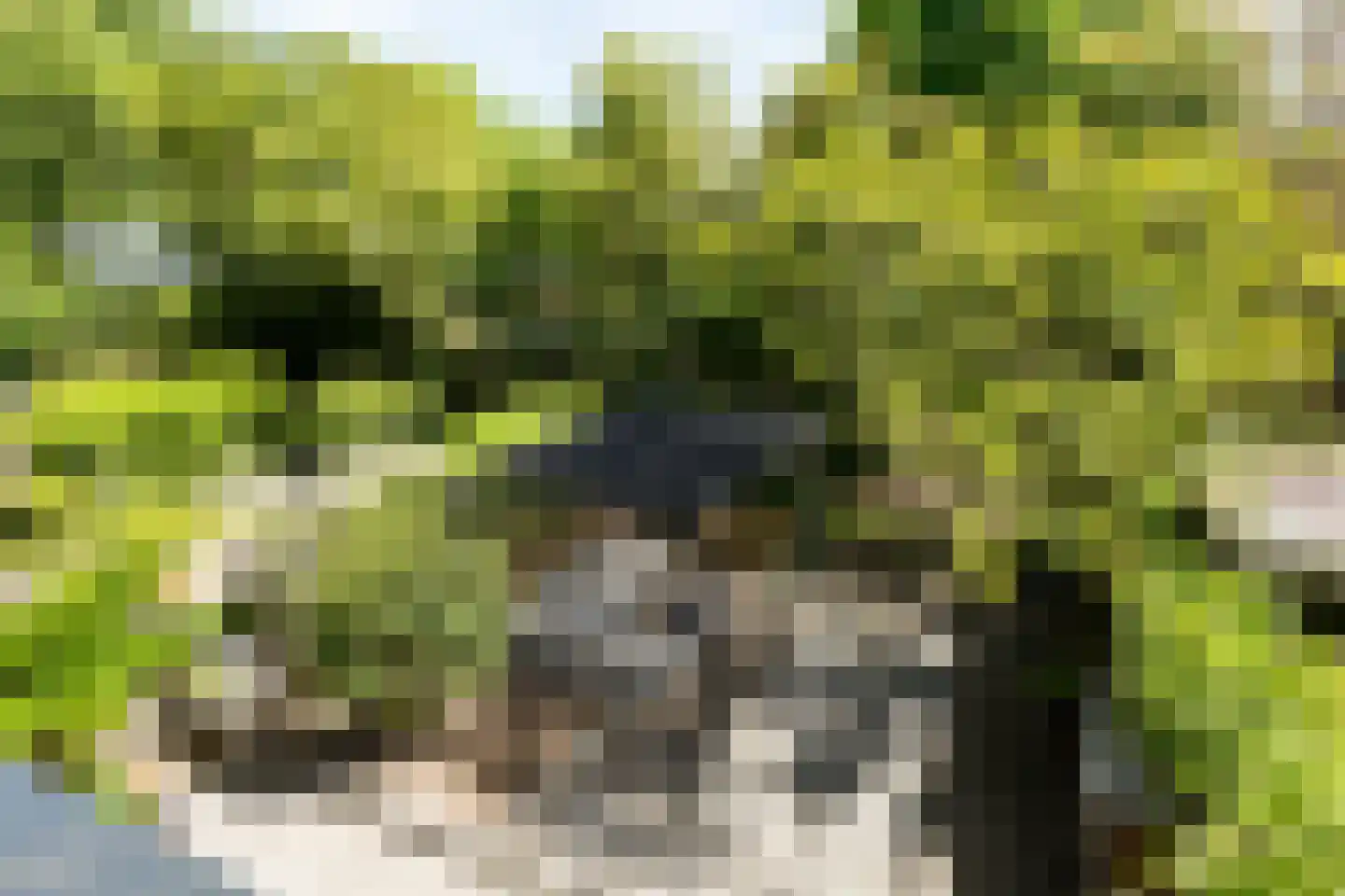 Hoflaan 27 Delft thumbnail 10