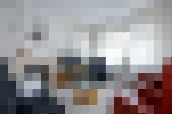 Hoflaan 27 Middelharnis thumbnail 10