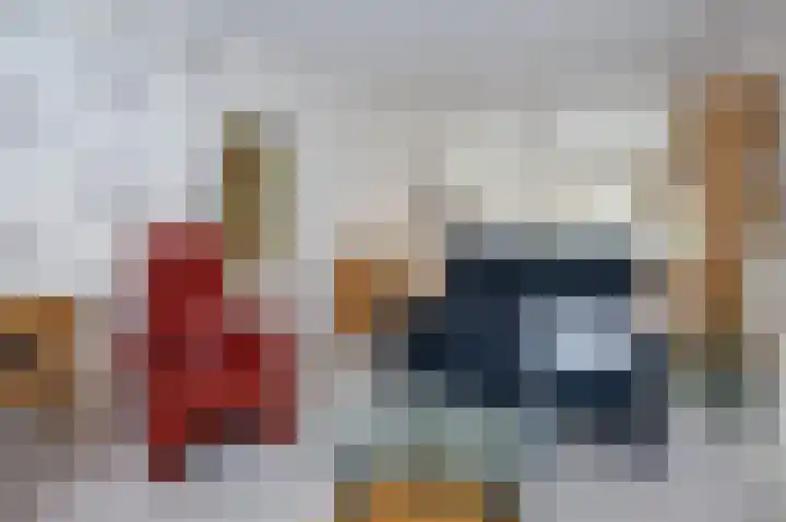 Hoflaan 27 Middelharnis thumbnail 11