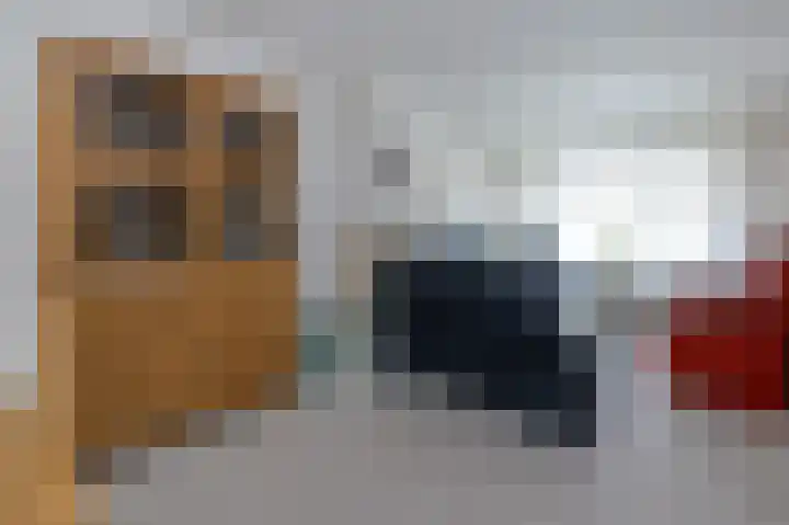 Hoflaan 27 Middelharnis thumbnail 12