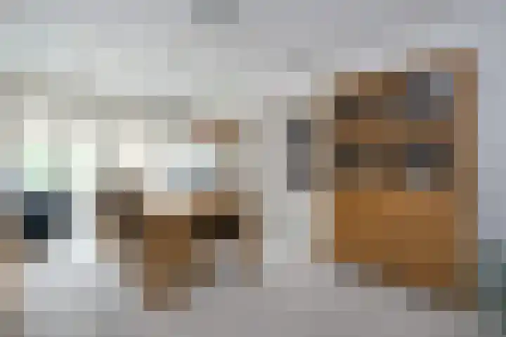 Hoflaan 27 Middelharnis thumbnail 14