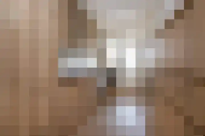 Hoflaan 27 Middelharnis thumbnail 17