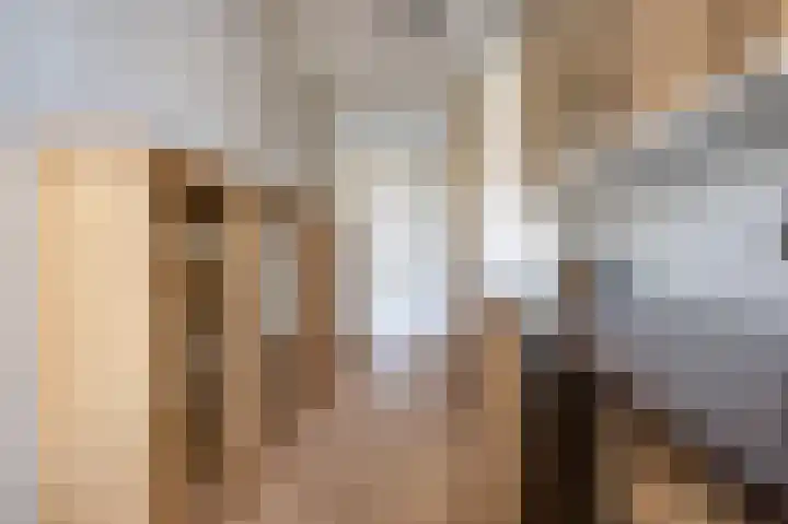 Hoflaan 27 Middelharnis thumbnail 18