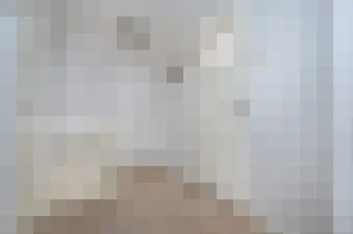 Hoflaan 27 Middelharnis thumbnail 20