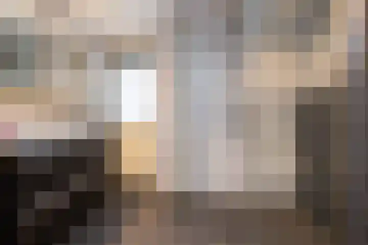 Hoflaan 27 Middelharnis thumbnail 22