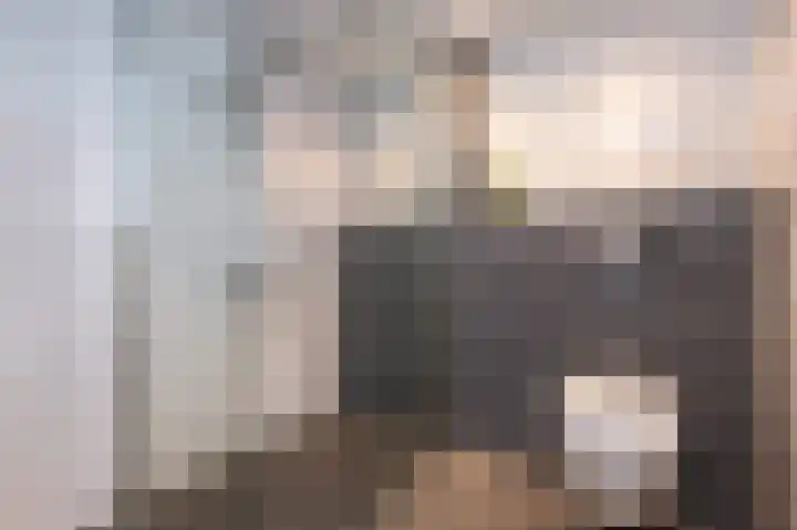Hoflaan 27 Middelharnis thumbnail 23