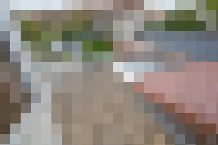 Hoflaan 27 Middelharnis thumbnail 25