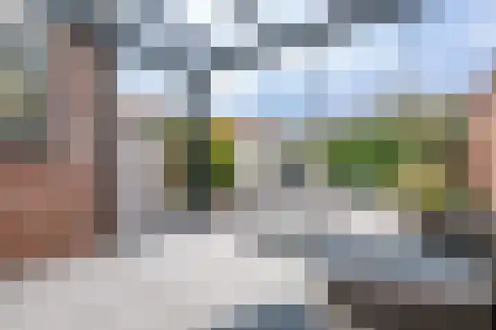 Hoflaan 27 Middelharnis thumbnail 30