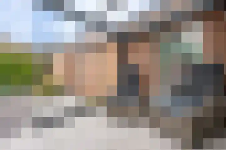 Hoflaan 27 Middelharnis thumbnail 31