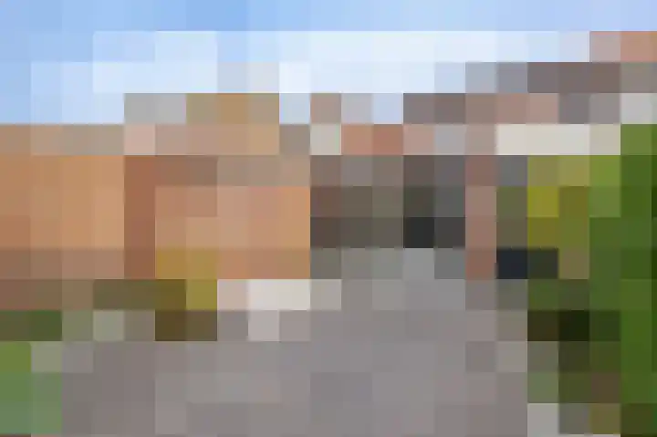 Hoflaan 27 Middelharnis thumbnail 32