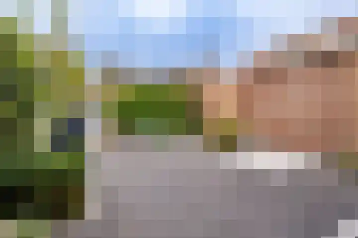 Hoflaan 27 Middelharnis thumbnail 33