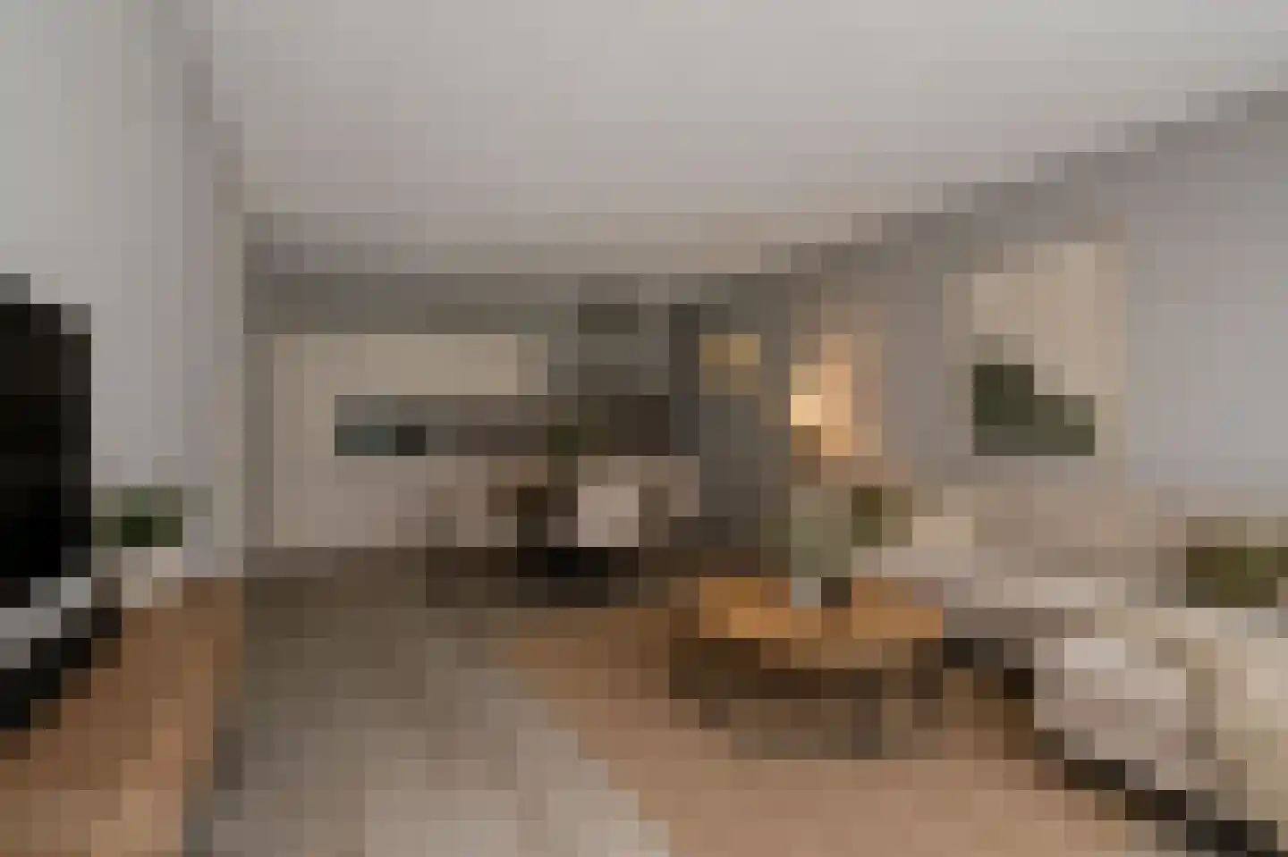 Hoflaan 283 's-Hertogenbosch thumbnail 10