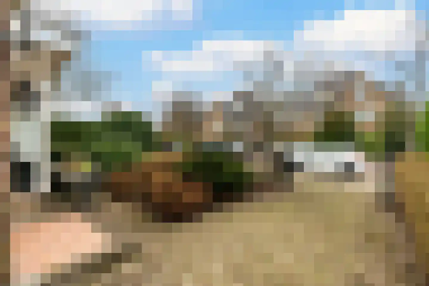 Hoflaan 3 Wassenaar thumbnail 6