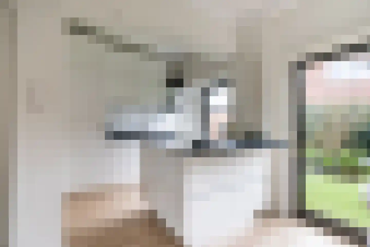 Hoflaan 3 Wassenaar thumbnail 9