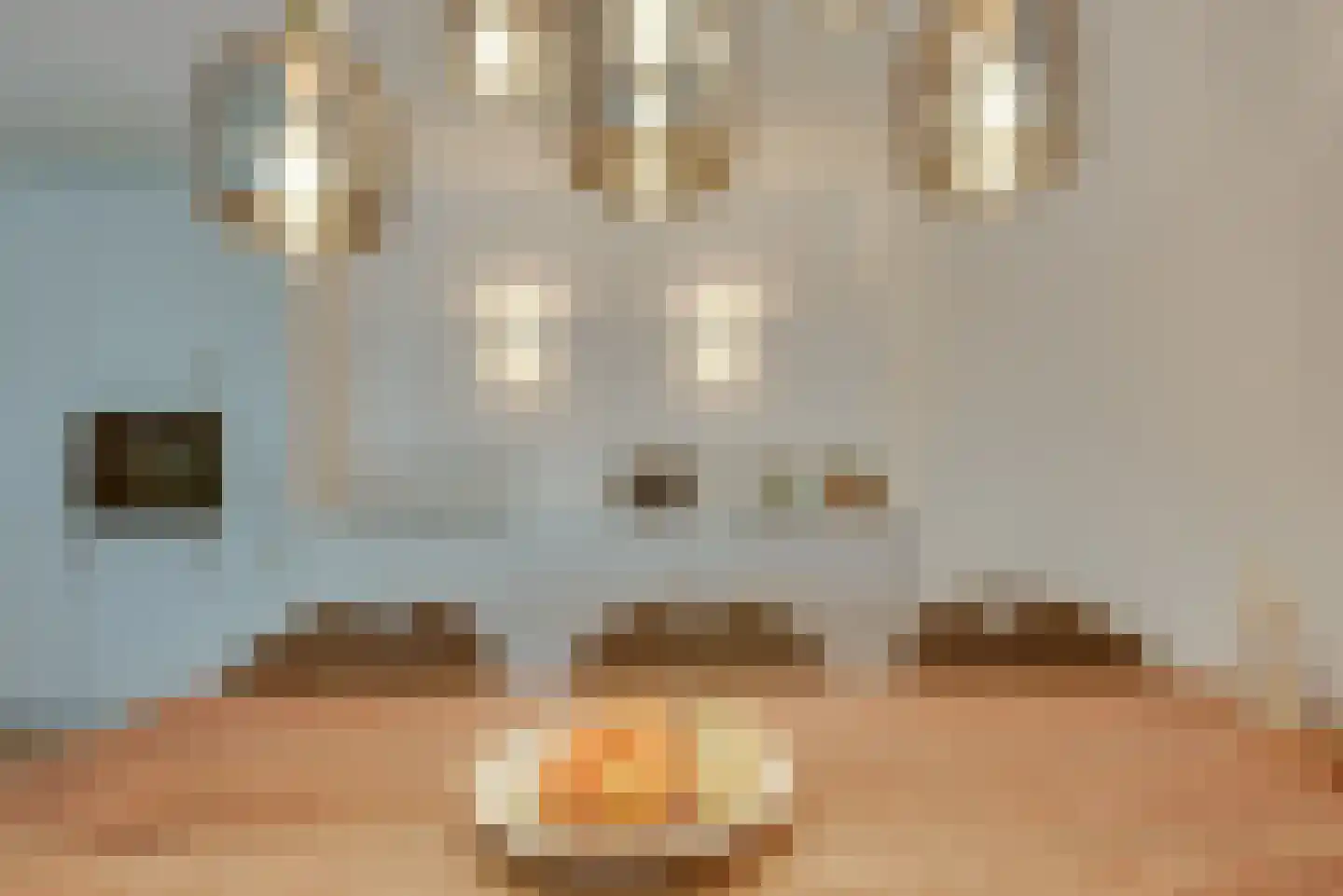 Hoflaan 307 's-Hertogenbosch thumbnail 26