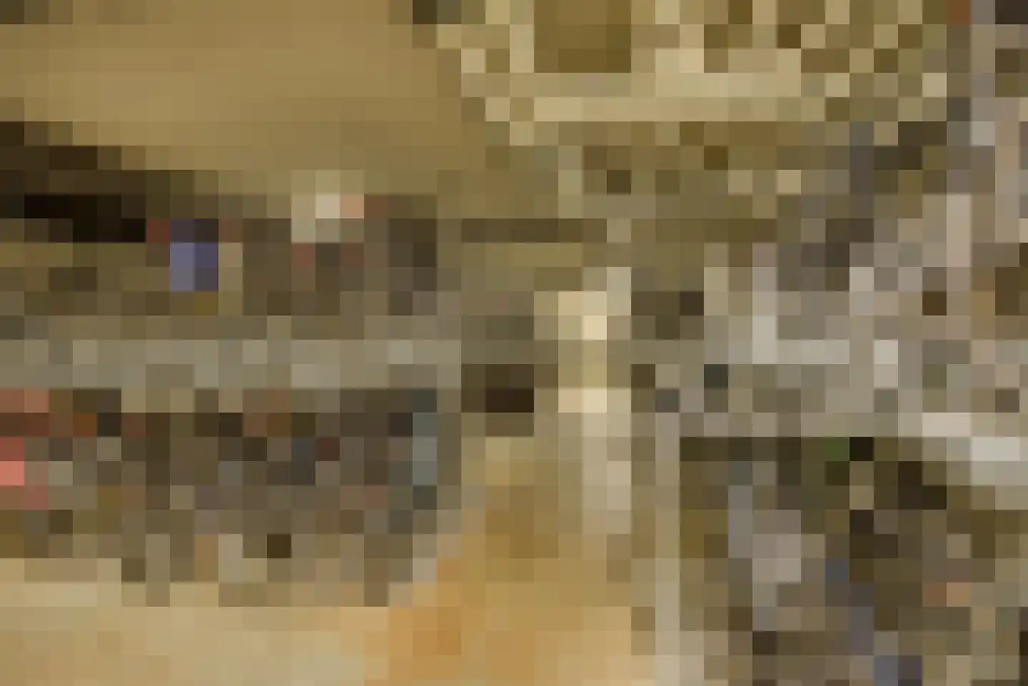 Hoflaan 307 's-Hertogenbosch thumbnail 44