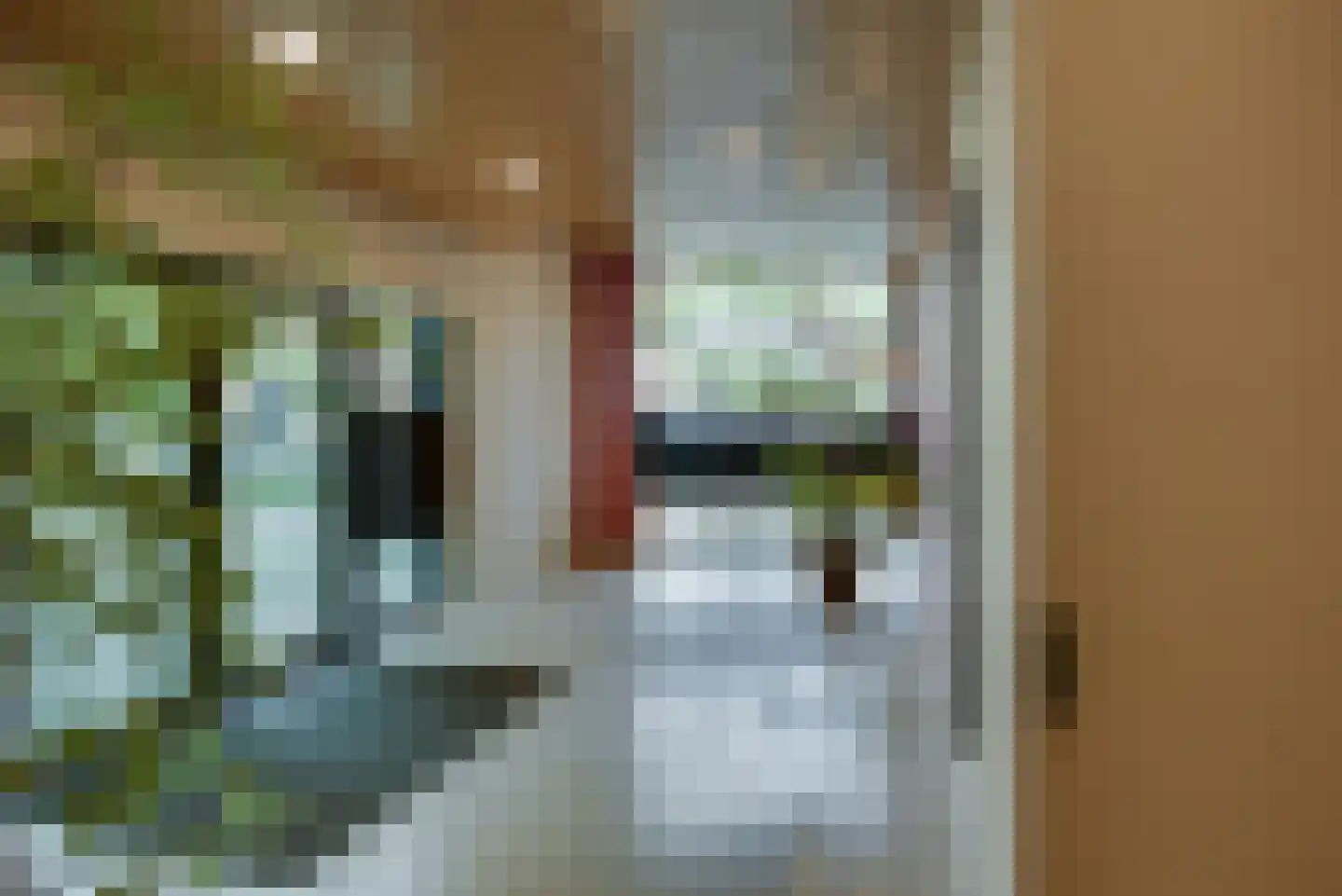 Hoflaan 307 's-Hertogenbosch thumbnail 5