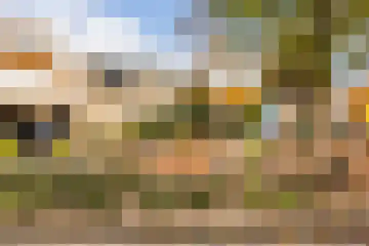 Hoflaan 32 Ede thumbnail 29