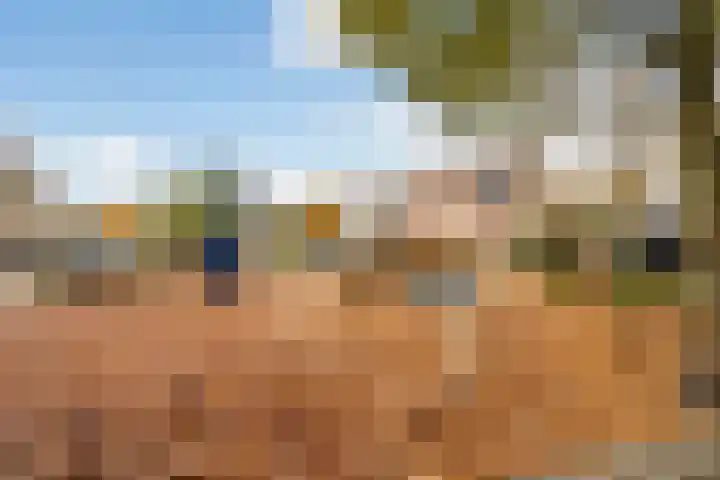 Hoflaan 32 Ede thumbnail 30