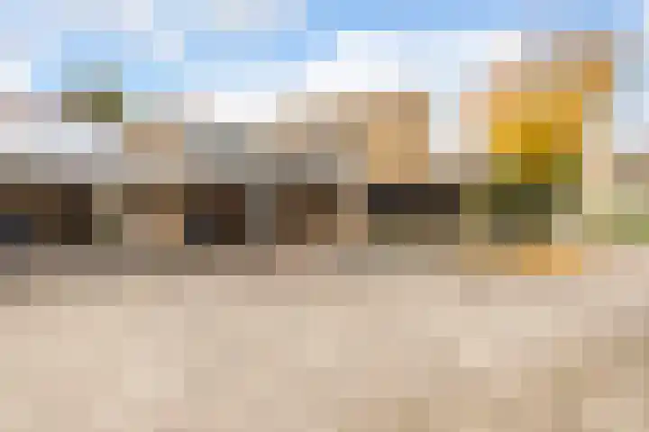 Hoflaan 32 Ede thumbnail 6