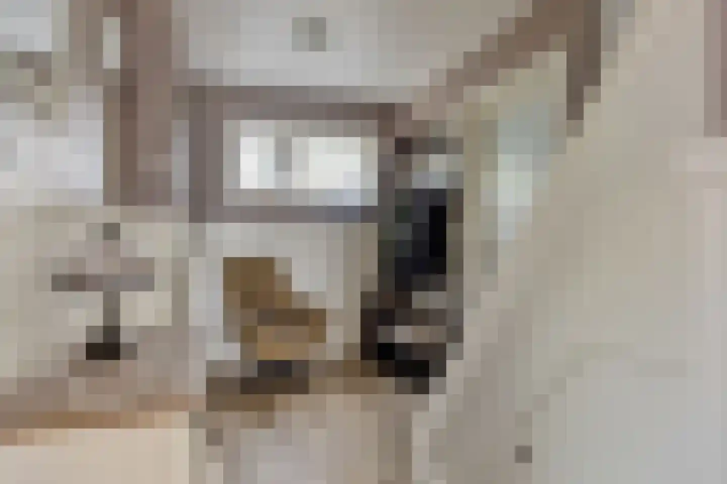 Hoflaan 32 Grootegast thumbnail 16