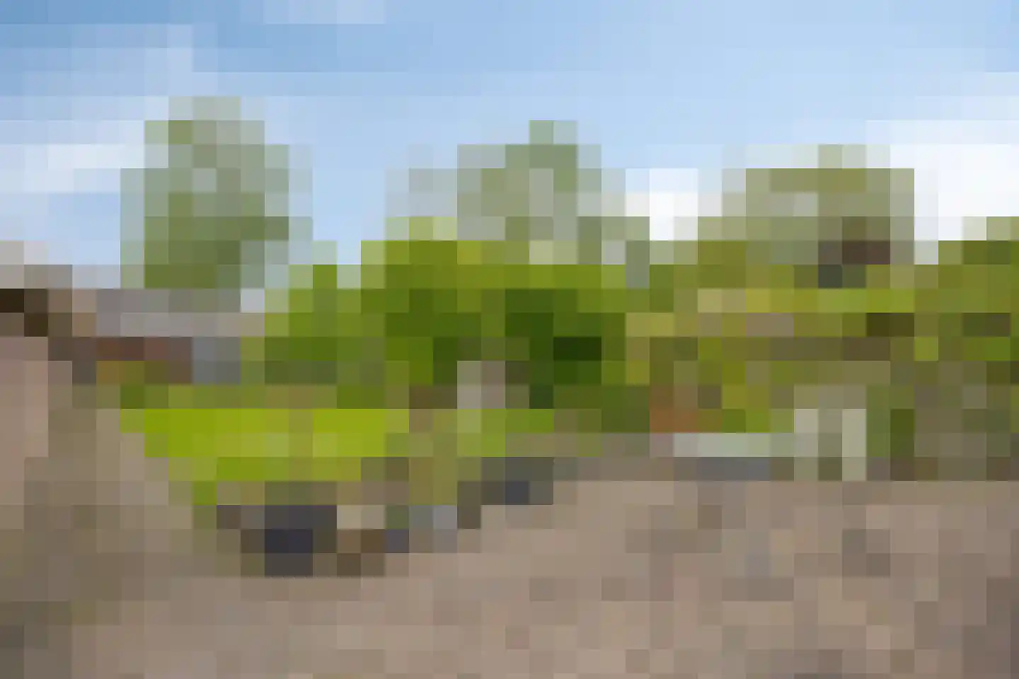 Hoflaan 32 Grootegast thumbnail 22