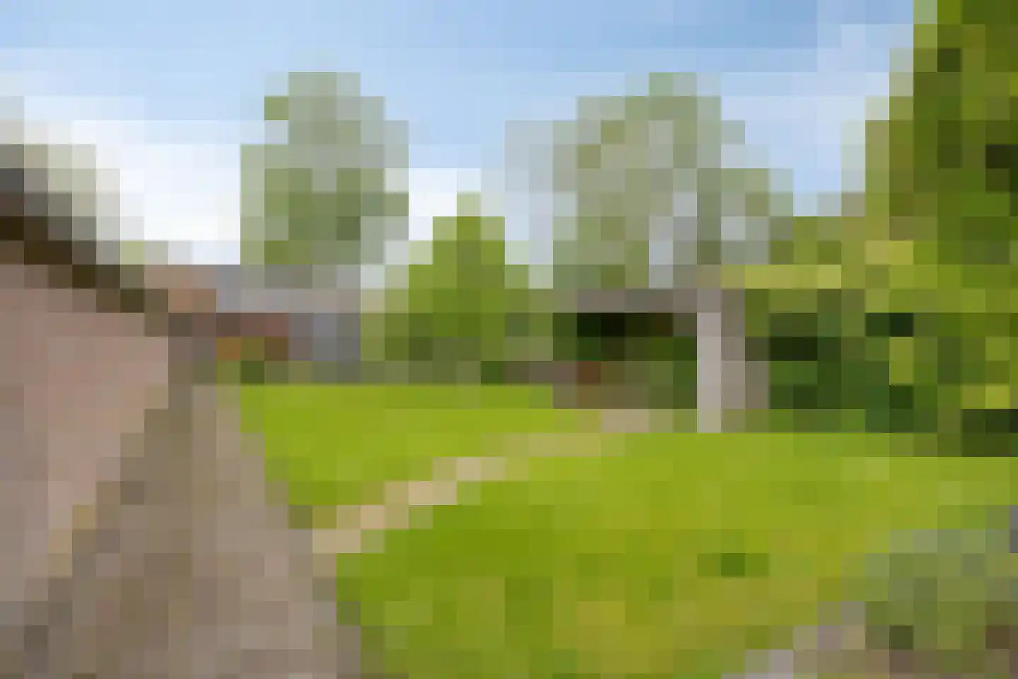Hoflaan 32 Grootegast thumbnail 23