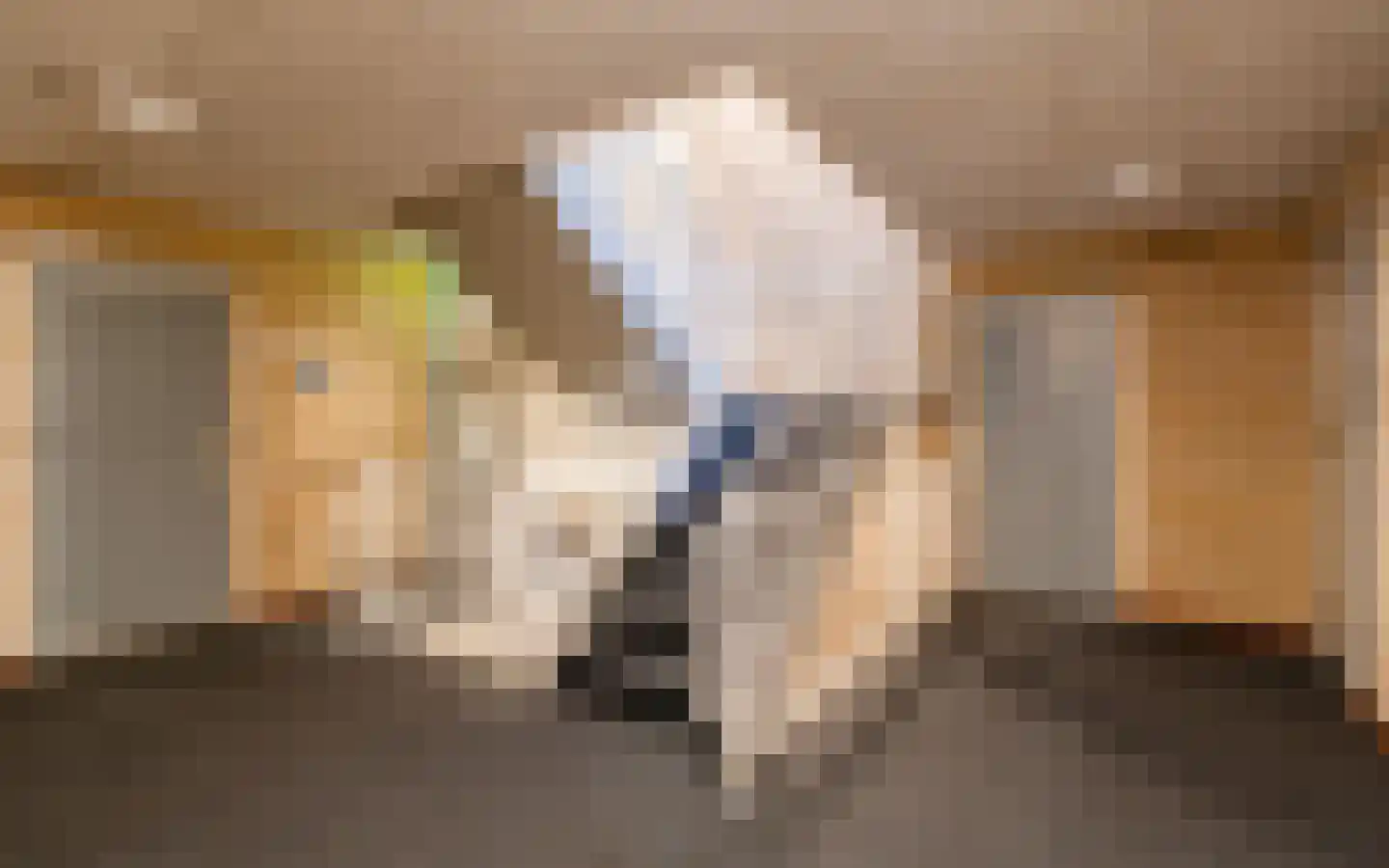 Hoflaan 32 Heerenveen thumbnail 42
