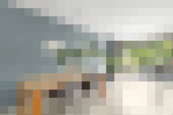 Hoflaan 33 Kortenhoef thumbnail 12