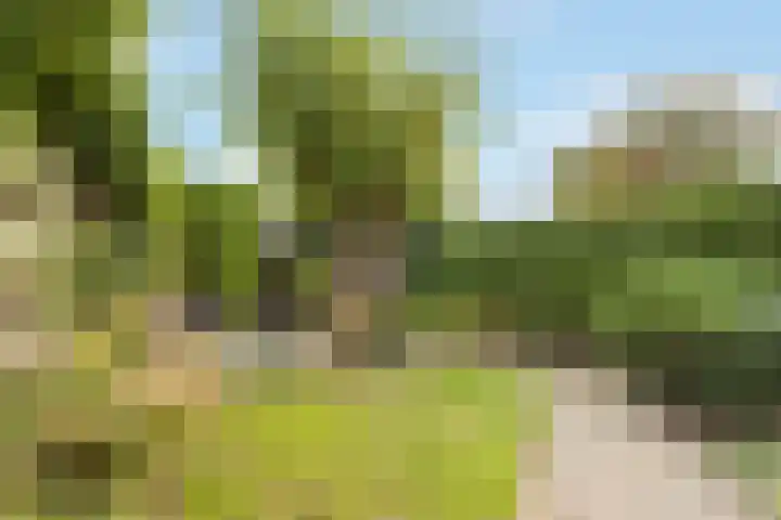 Hoflaan 33 Kortenhoef thumbnail 21