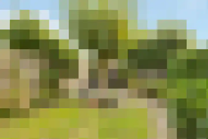 Hoflaan 33 Kortenhoef thumbnail 22