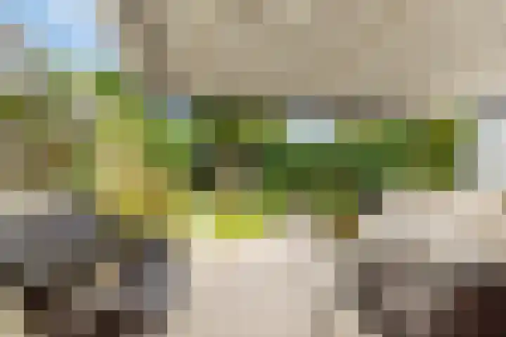 Hoflaan 33 Kortenhoef thumbnail 39