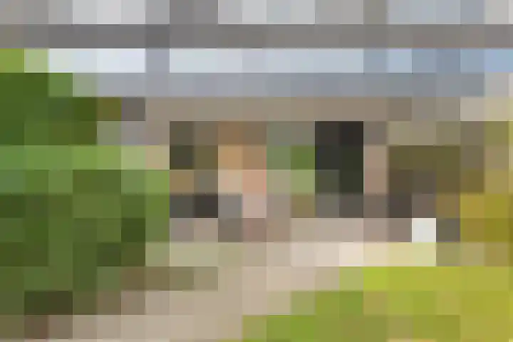 Hoflaan 33 Kortenhoef thumbnail 40