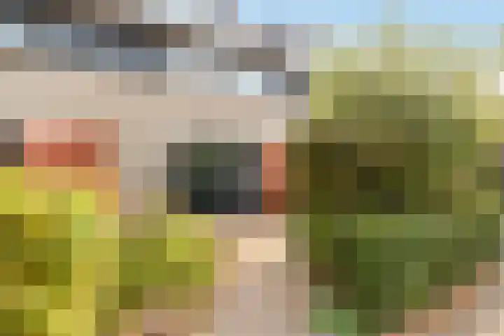 Hoflaan 33 Kortenhoef thumbnail 41