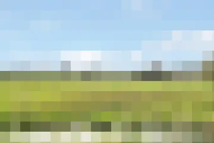 Hoflaan 33 Kortenhoef thumbnail 45