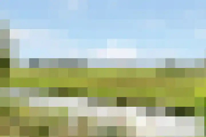 Hoflaan 33 Kortenhoef thumbnail 46