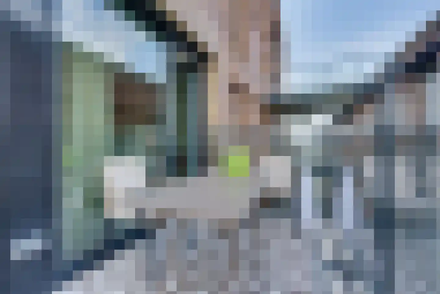 Hoflaan 335 's-Hertogenbosch thumbnail 47