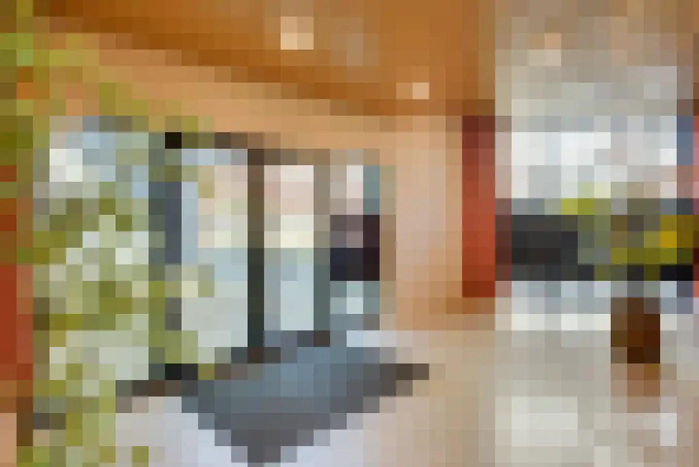 Hoflaan 335 's-Hertogenbosch thumbnail 7
