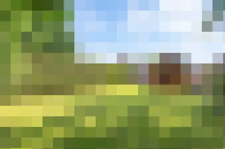 Hoflaan 34 Grootegast thumbnail 4