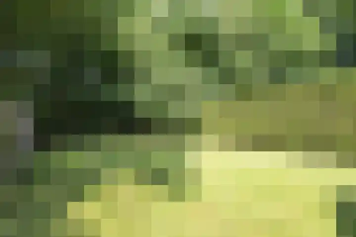 Hoflaan 34 Grootegast thumbnail 13