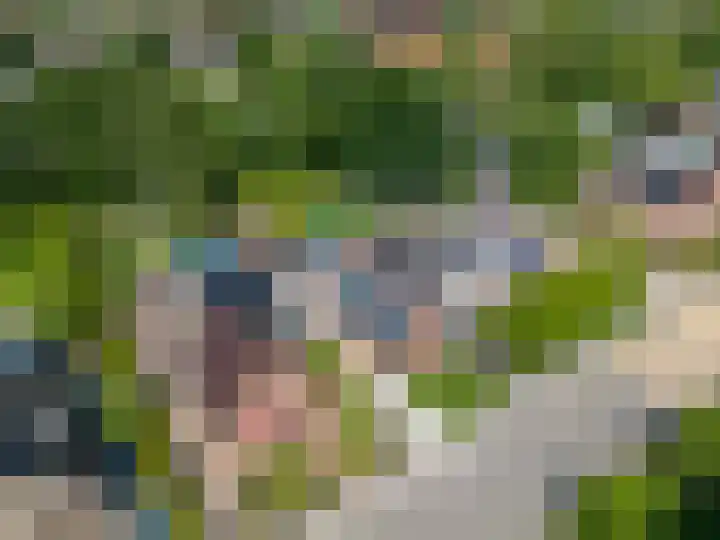 Hoflaan 34 Grootegast thumbnail 15