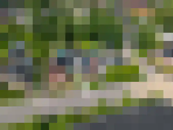 Hoflaan 34 Grootegast thumbnail 16