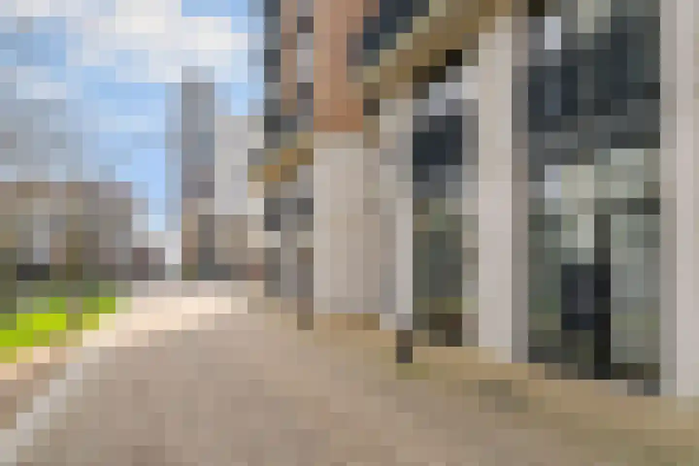 Hoflaan 345 's-Hertogenbosch thumbnail 5