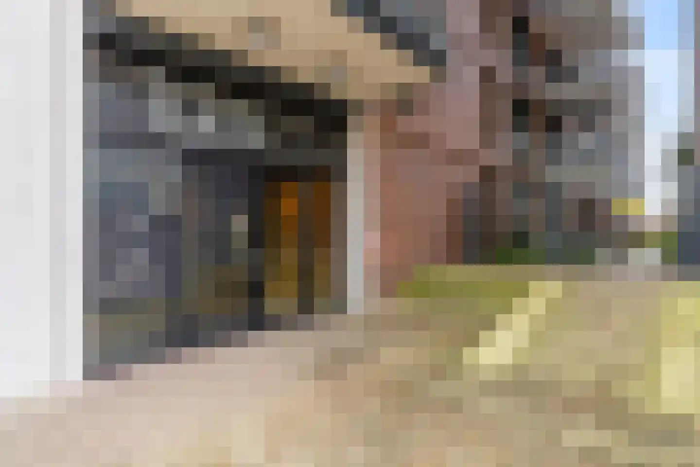 Hoflaan 345 's-Hertogenbosch thumbnail 6