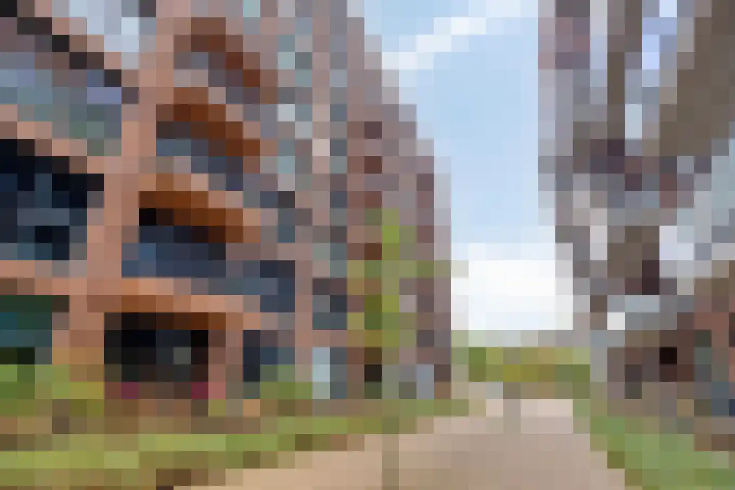 Hoflaan 353 's-Hertogenbosch thumbnail 28