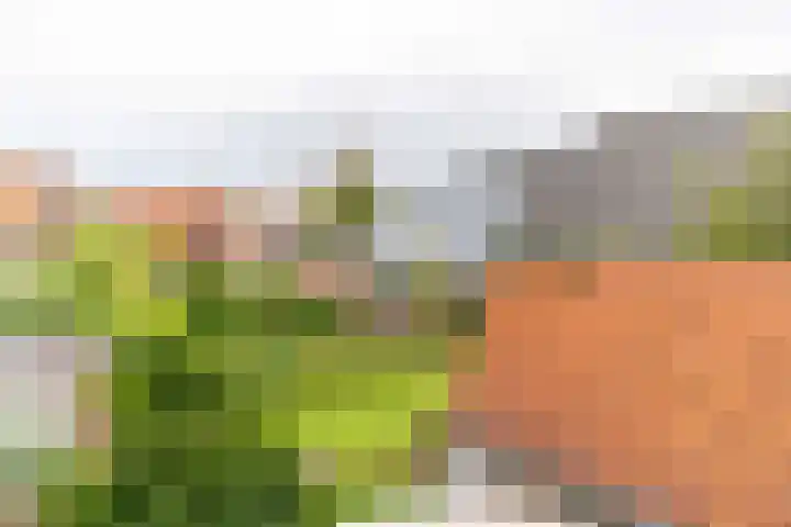 Hoflaan 36 Wassenaar thumbnail 27