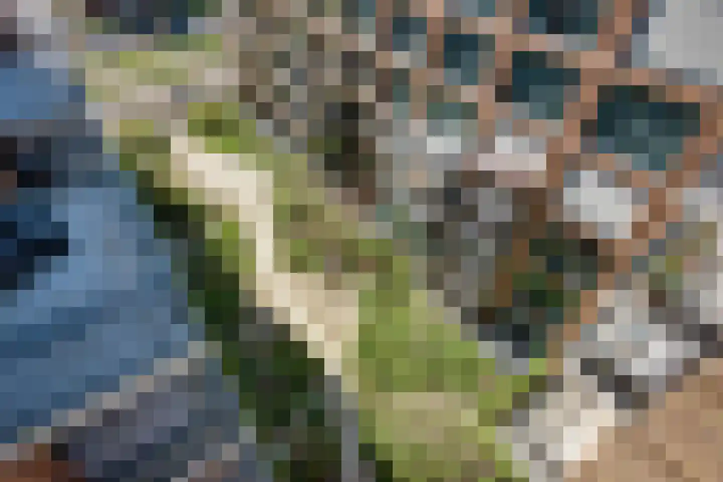Hoflaan 361 's-Hertogenbosch thumbnail 28
