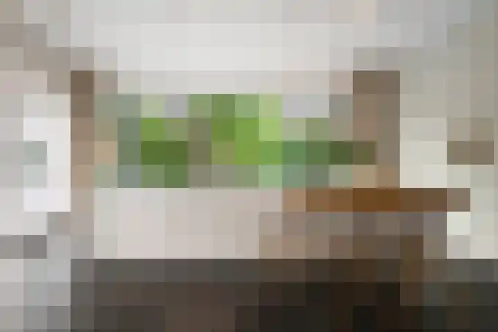 Hoflaan 38 Rotterdam thumbnail 8