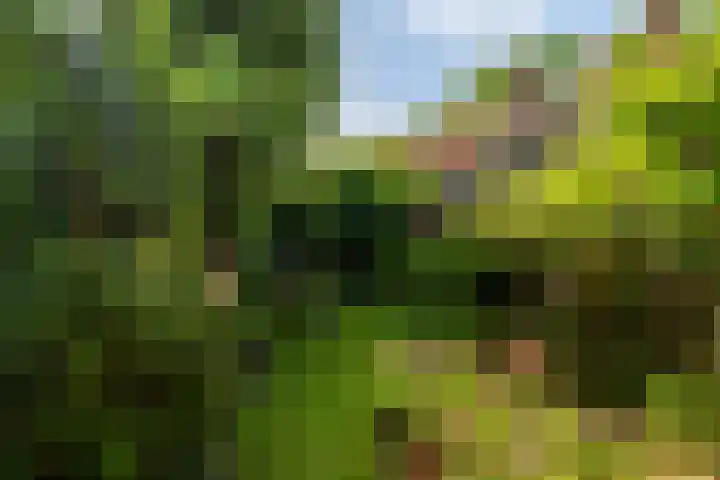 Hoflaan 39 Wassenaar thumbnail 20