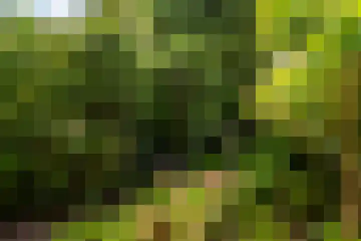Hoflaan 39 Wassenaar thumbnail 22